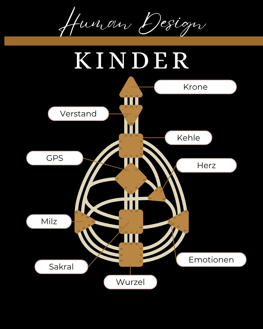 Kinder Reading (30 min Video)