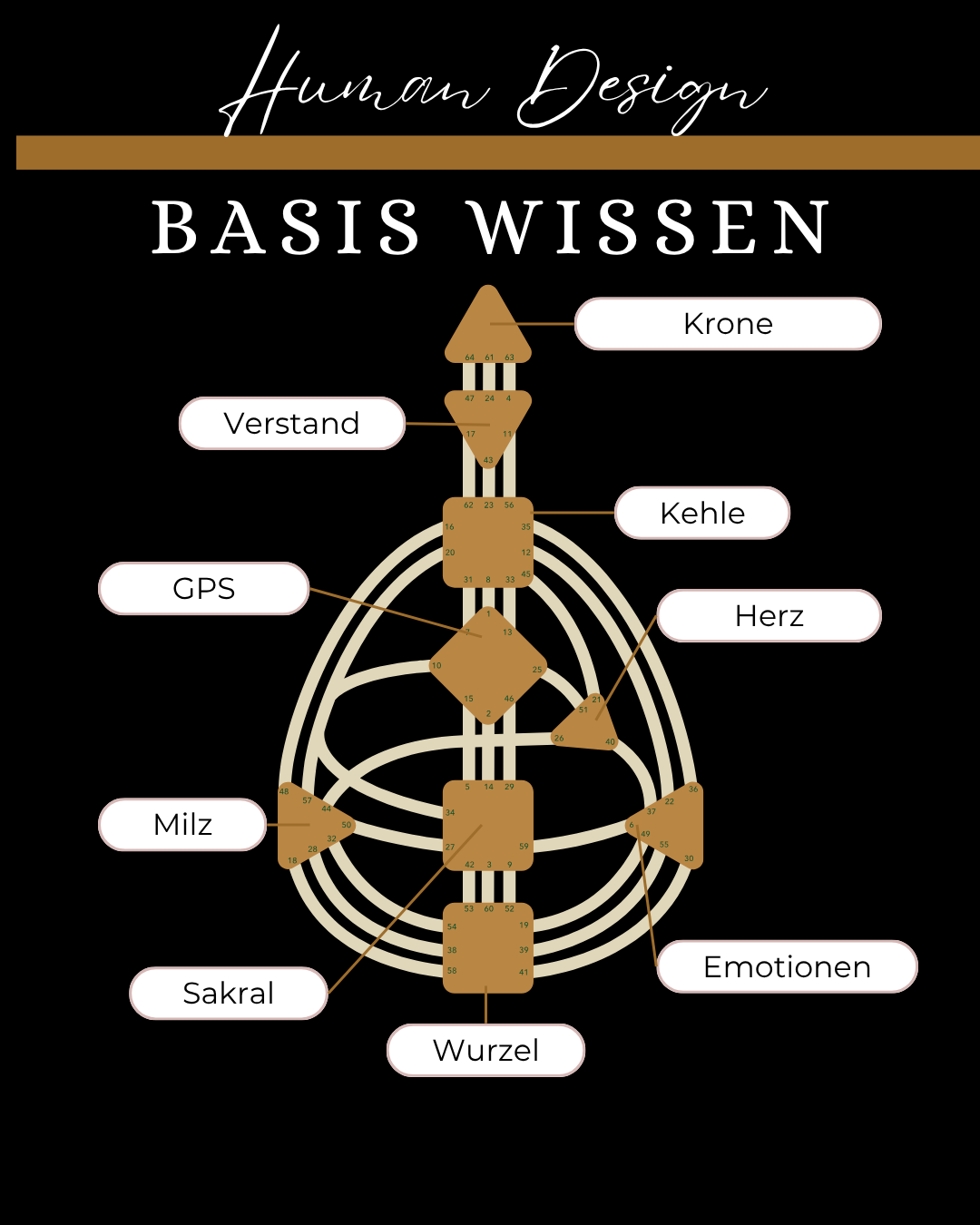 Human Design Basis Wissen + deine Chart (30 min Video)